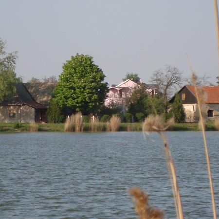 Vila Madams - Palic-Serbia エクステリア 写真