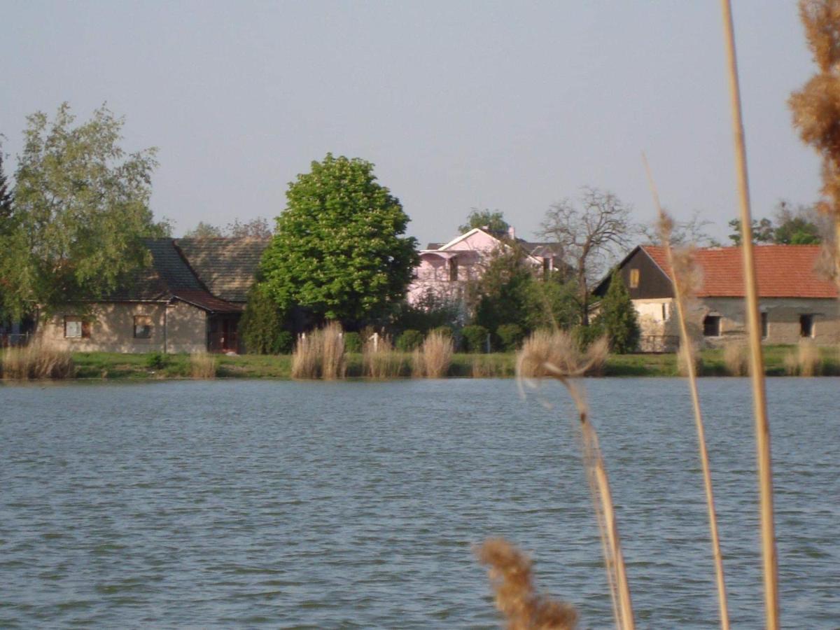 Vila Madams - Palic-Serbia エクステリア 写真