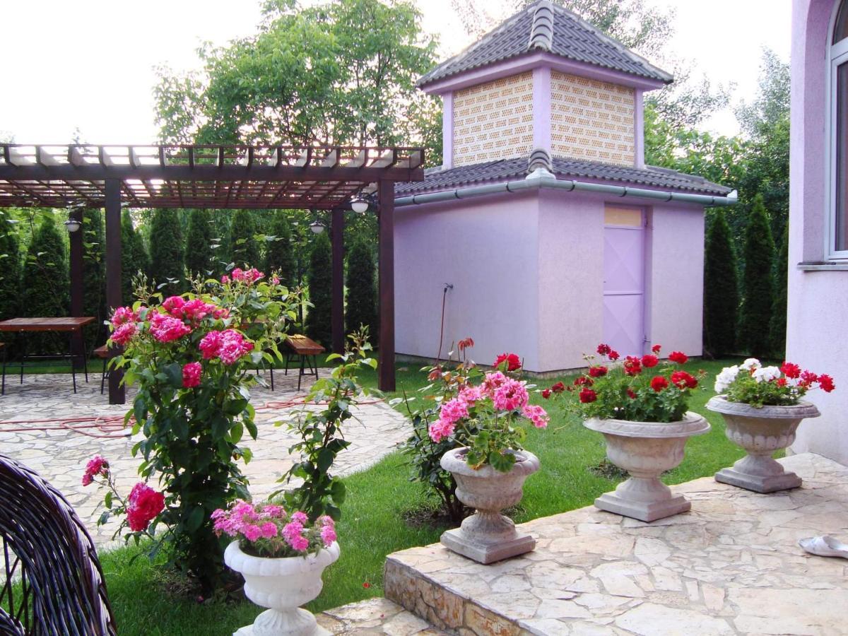 Vila Madams - Palic-Serbia エクステリア 写真