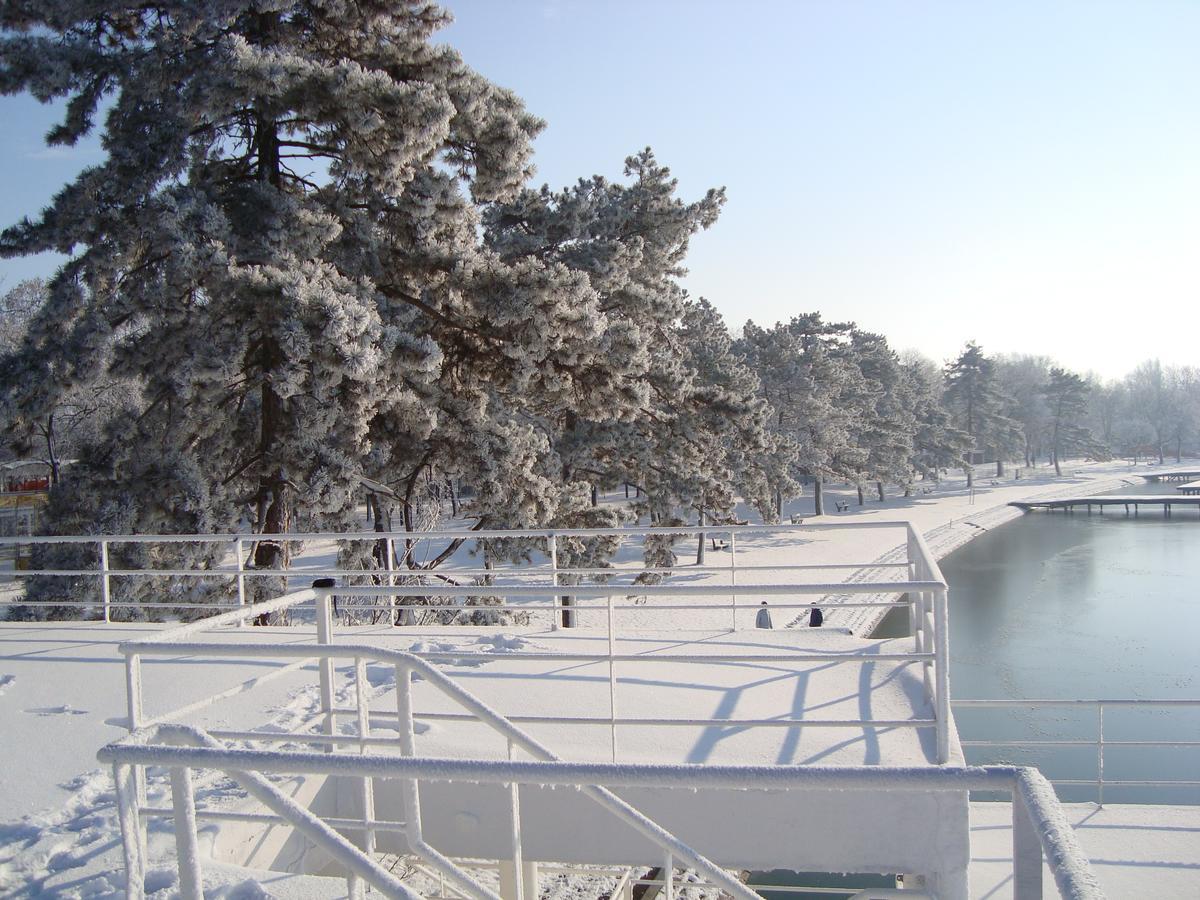 Vila Madams - Palic-Serbia エクステリア 写真