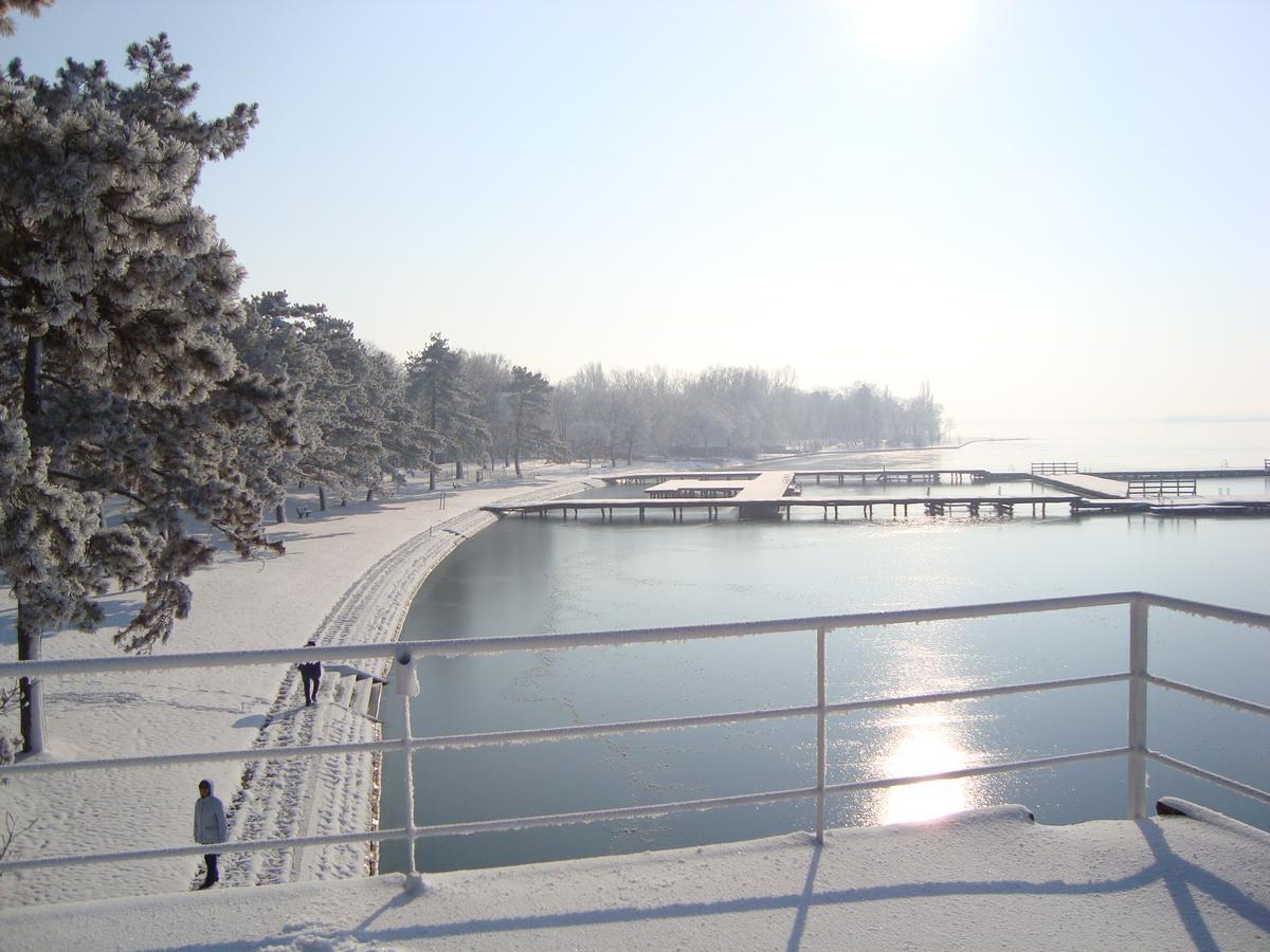 Vila Madams - Palic-Serbia エクステリア 写真