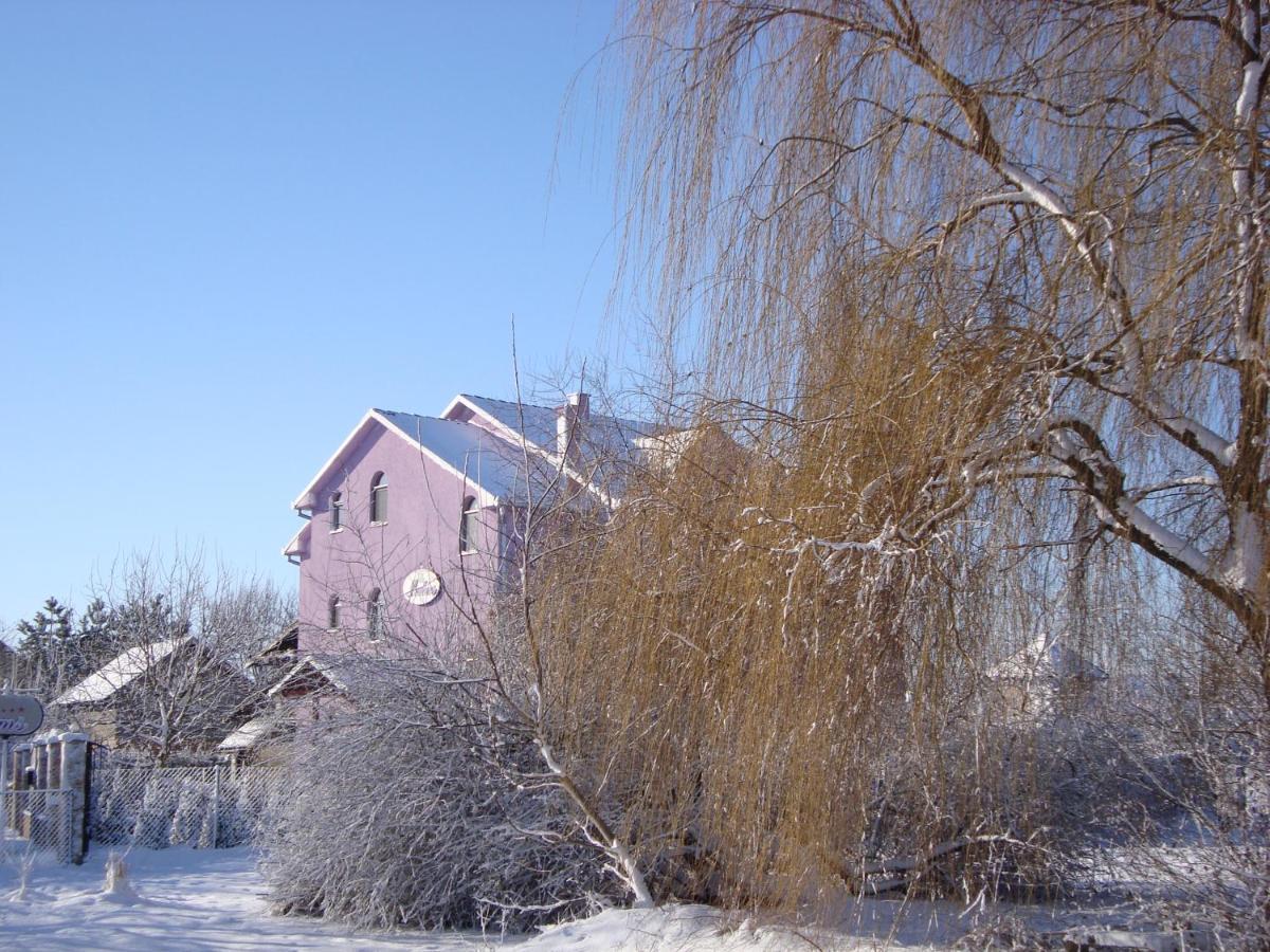 Vila Madams - Palic-Serbia エクステリア 写真
