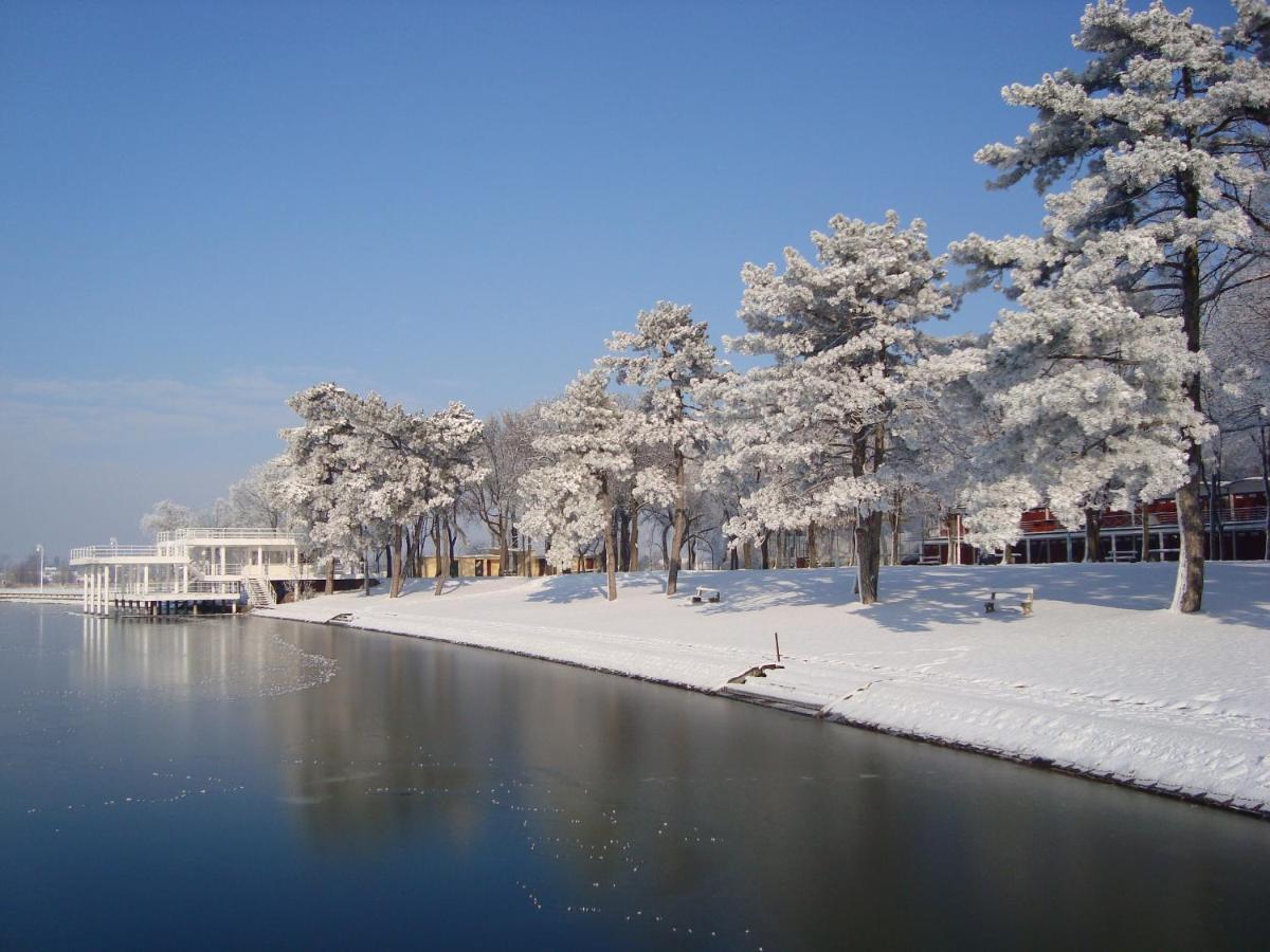 Vila Madams - Palic-Serbia エクステリア 写真